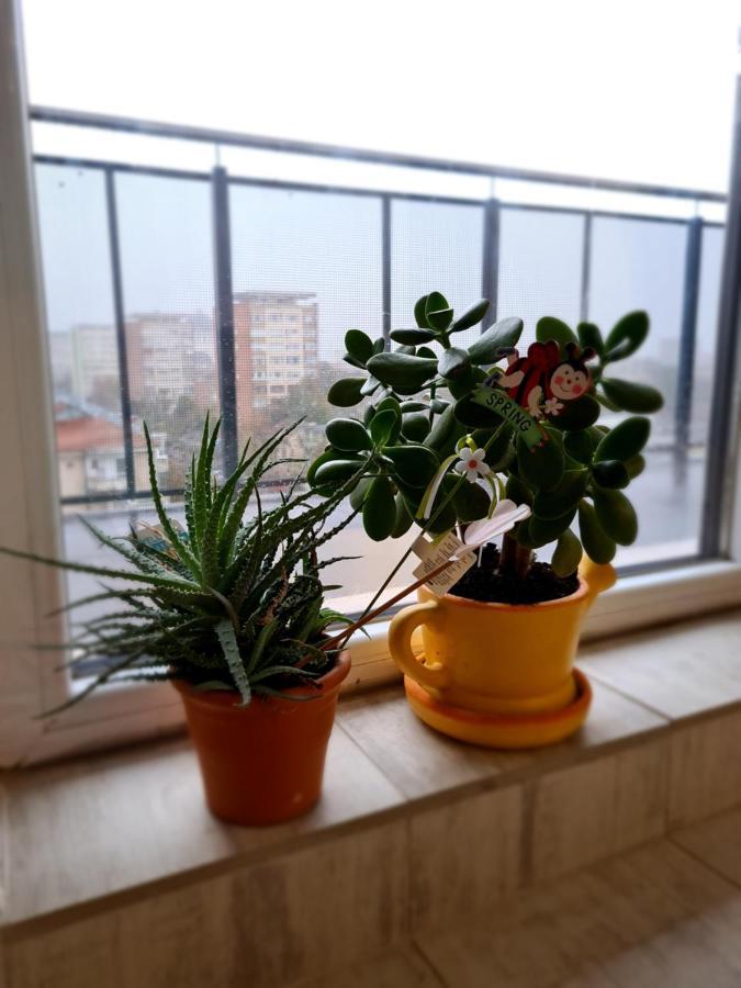 Cozy Apartment Arad Buitenkant foto