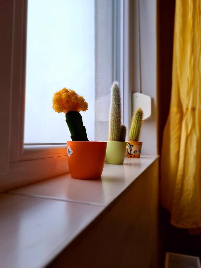 Cozy Apartment Arad Buitenkant foto