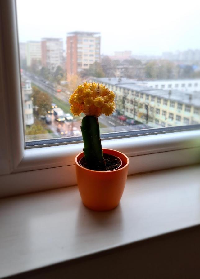 Cozy Apartment Arad Buitenkant foto