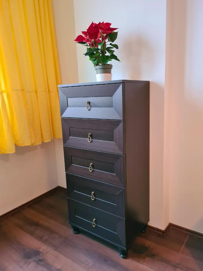 Cozy Apartment Arad Buitenkant foto